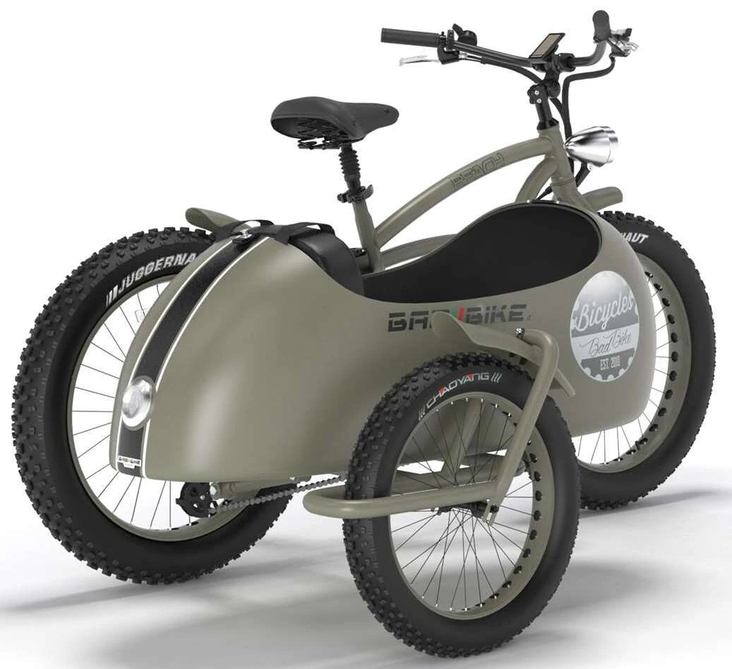 Zijspan Fiets Elektrische Fatbike Speed Pedelec Bad Bike 500W Groen